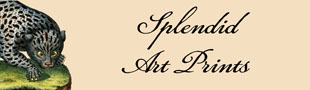 splendidartprints